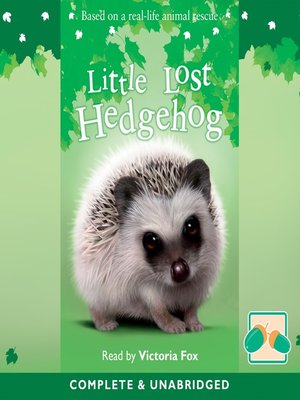 cover image of Little Lost Hedgehog